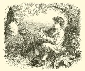 自然から学ぶ少年、デビッド・ウィルキー